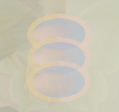 Soul Growth Consultation