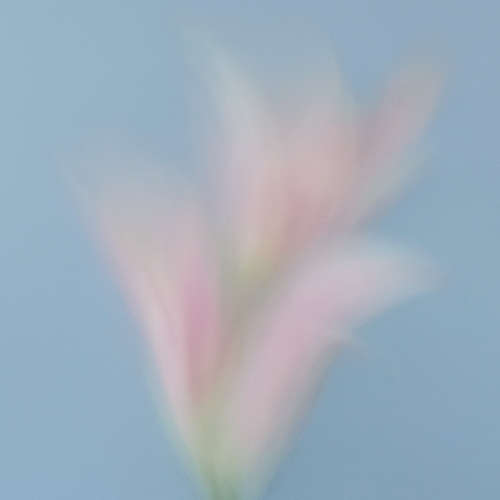 Blurred pink flower against a light blue background